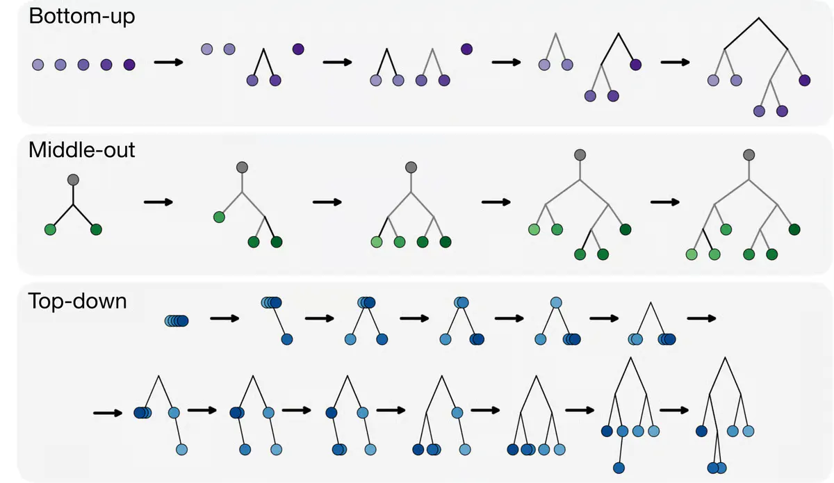 DeepPhylo Uses Discrete Diffusion to Map Evolutionary Trees From DNA