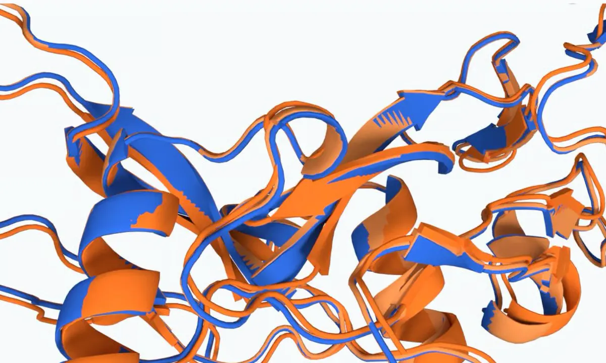Google DeepMind's SynthID Bio Watermarks AI-Designed Proteins Without Hurting Function
