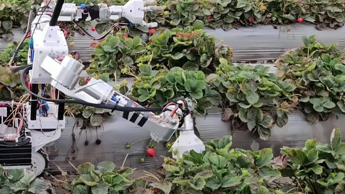 Physical Intelligence Opens Its Robot Brain API to Outside Teams